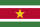 Suriname flag